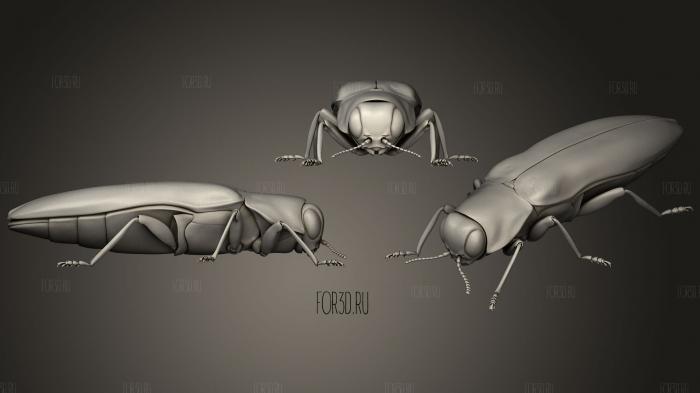Insect beetles 101 stl model for CNC